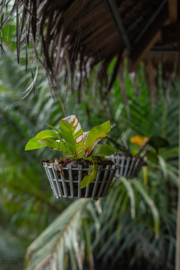 Nary Garden Hotell Kampot Exteriör bild