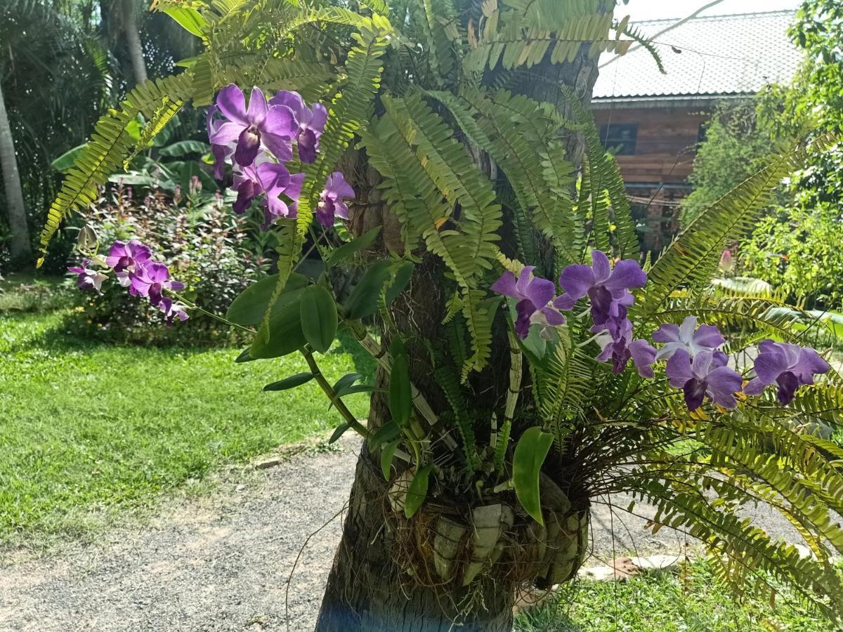 Nary Garden Hotell Kampot Exteriör bild